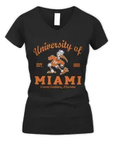 Women's V-Neck T-Shirt Women's V-Neck T-Shirt
