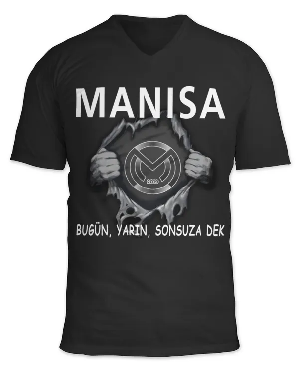 Unisex Jersey SS V-Neck T-Shirt