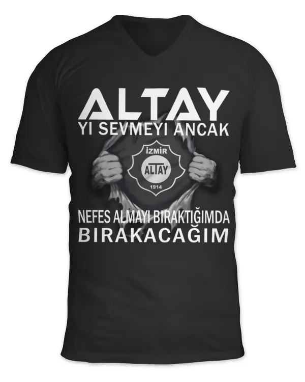 Unisex Jersey SS V-Neck T-Shirt