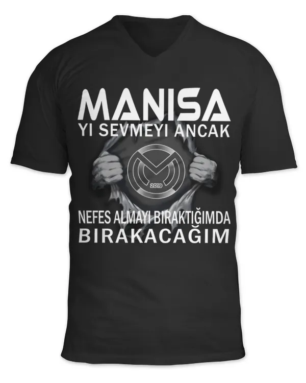 Unisex Jersey SS V-Neck T-Shirt