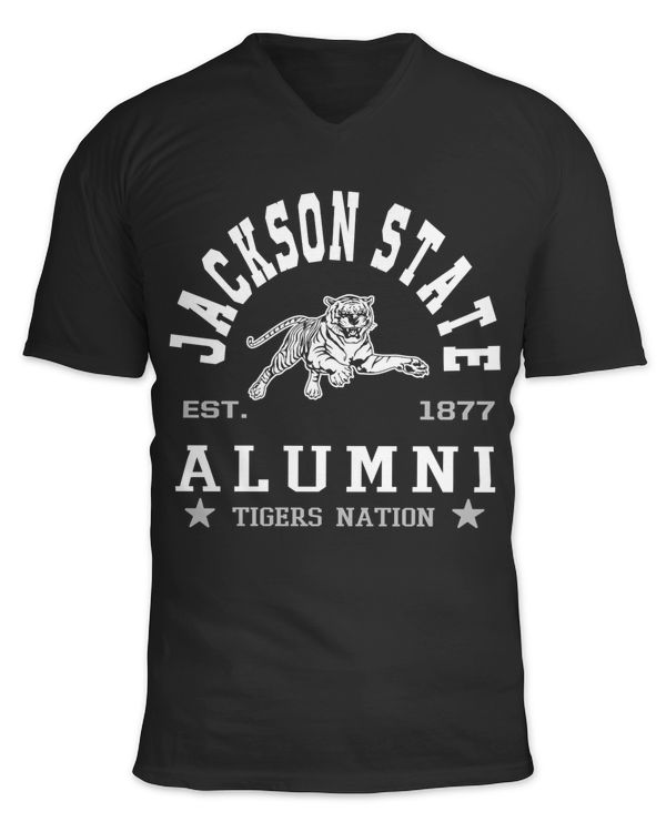 Unisex Jersey SS V-Neck T-Shirt