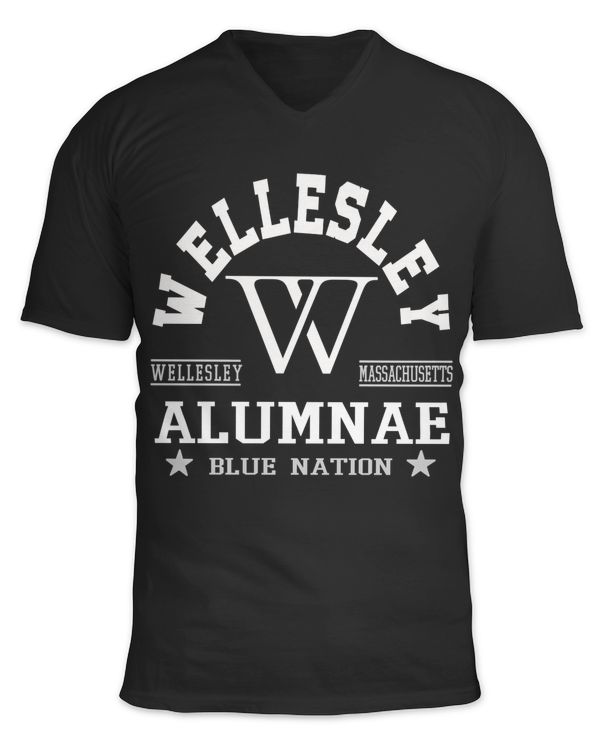 Unisex Jersey SS V-Neck T-Shirt