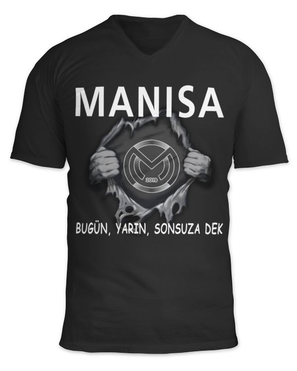 Unisex Jersey SS V-Neck T-Shirt