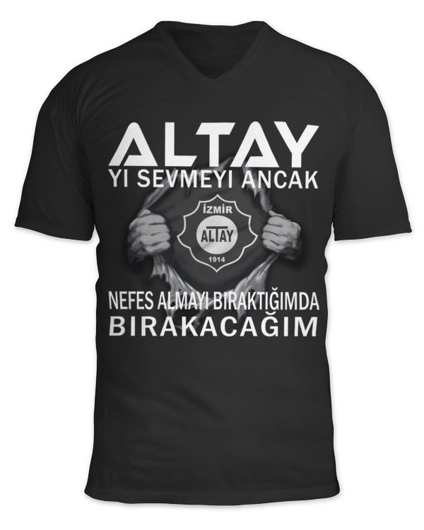 Unisex Jersey SS V-Neck T-Shirt
