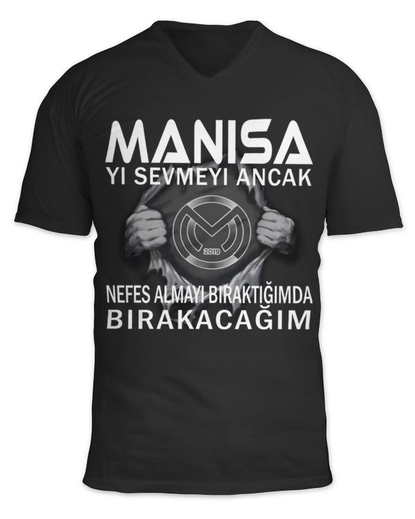 Unisex Jersey SS V-Neck T-Shirt