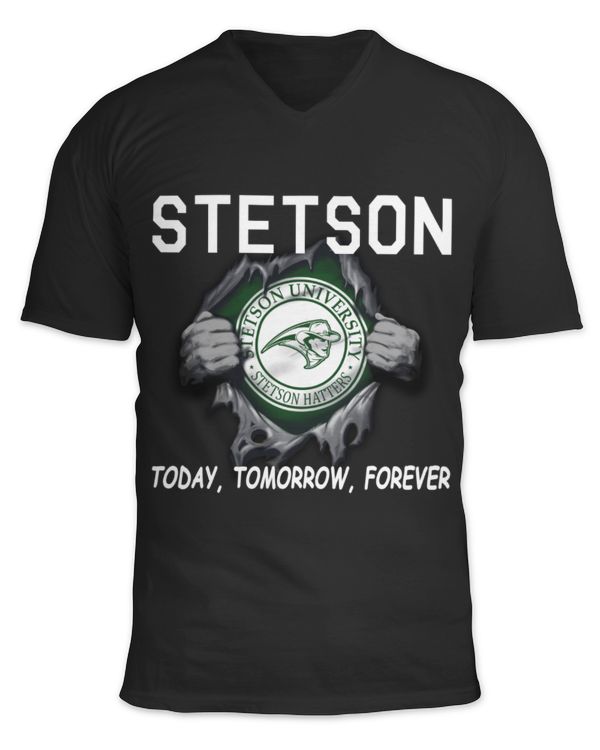 Unisex Jersey SS V-Neck T-Shirt