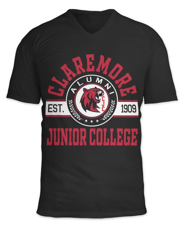 Unisex Jersey SS V-Neck T-Shirt