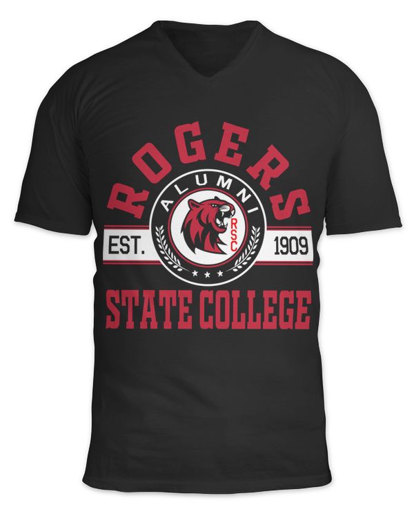 Unisex Jersey SS V-Neck T-Shirt