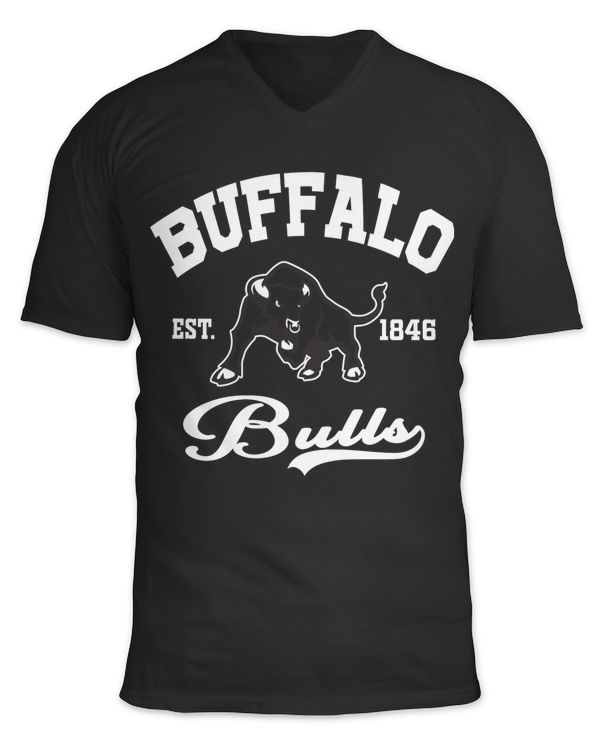 Unisex Jersey SS V-Neck T-Shirt