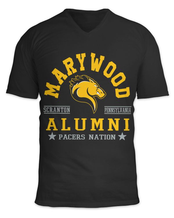 Unisex Jersey SS V-Neck T-Shirt