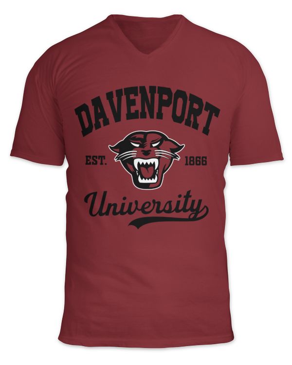 Unisex Jersey SS V-Neck T-Shirt