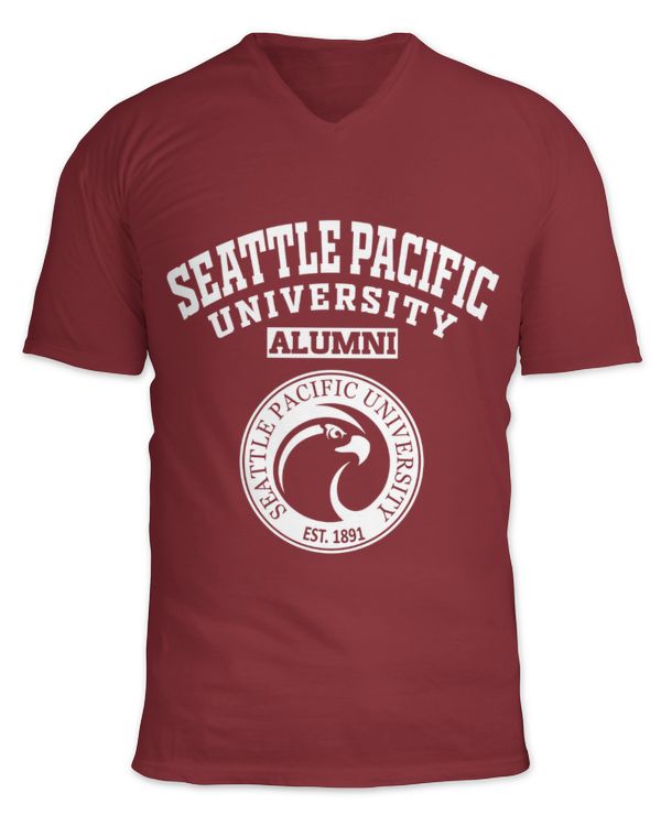 Unisex Jersey SS V-Neck T-Shirt
