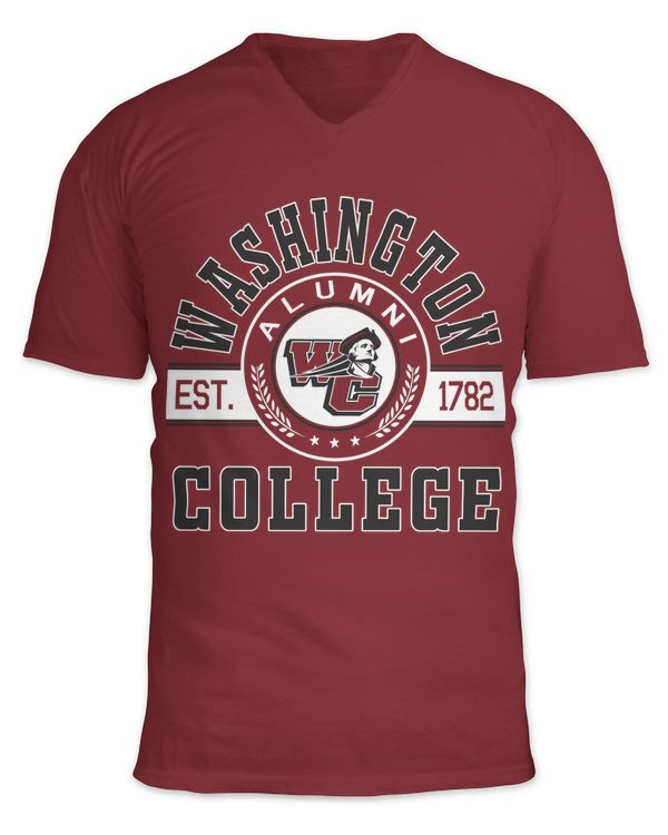 Unisex Jersey SS V-Neck T-Shirt