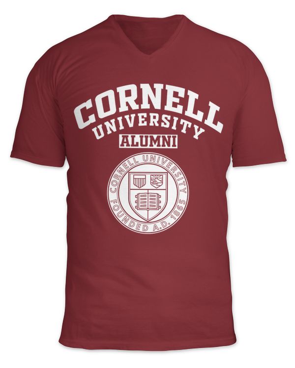 Unisex Jersey SS V-Neck T-Shirt