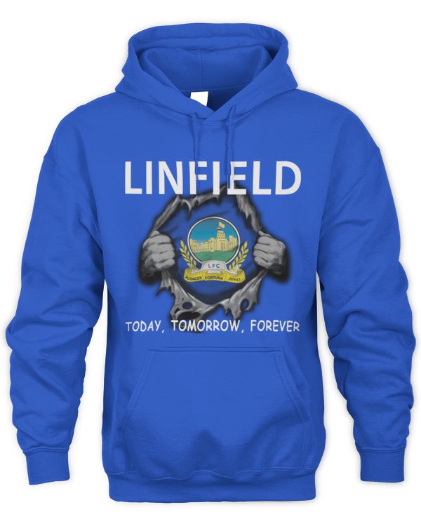 Linfield FC today Forever NIRE