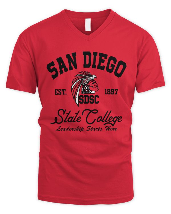Men's V-Neck T-Shirt